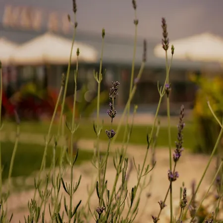 Hotel de apartamente La Vida 4*